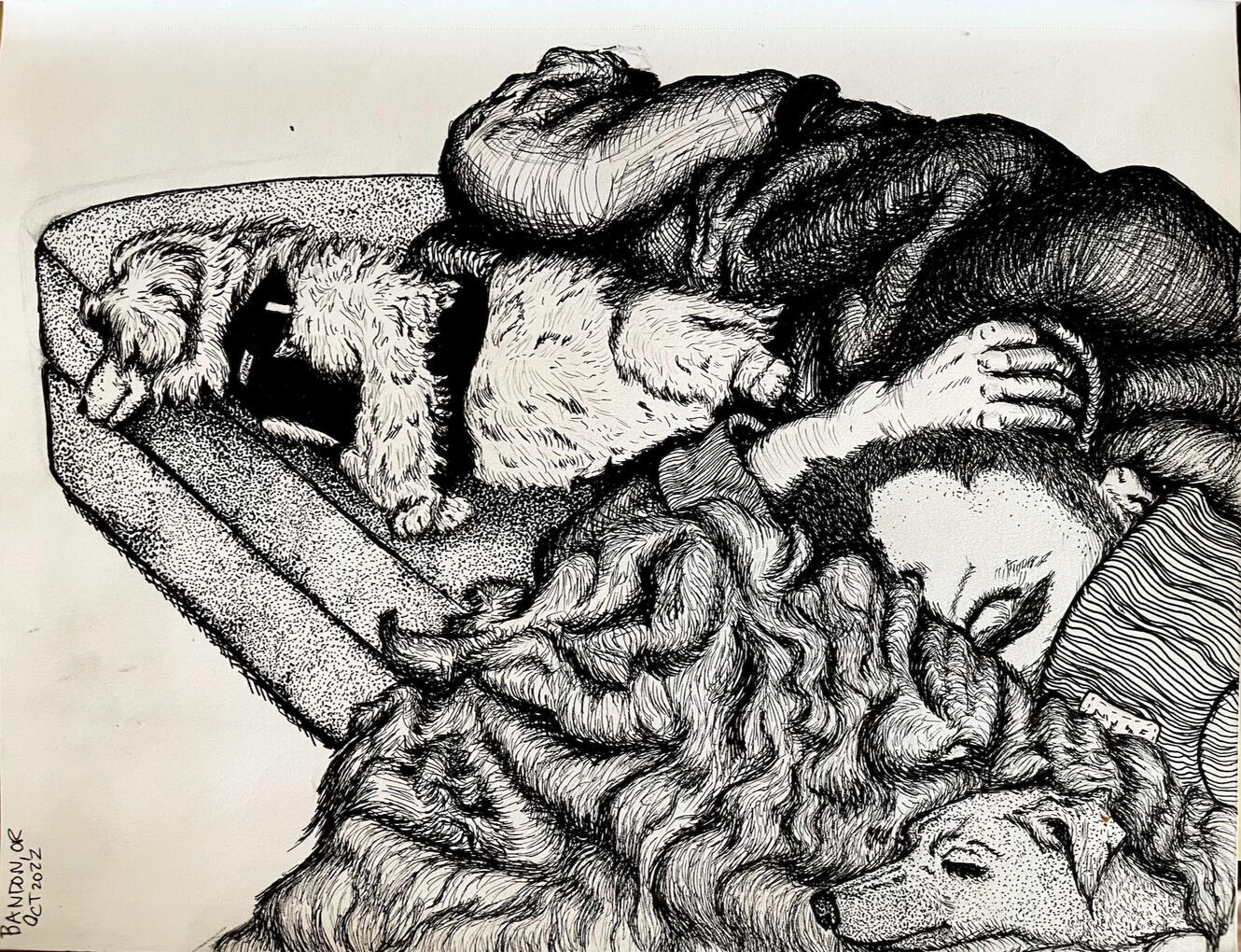 bandon, oregon - ink drawing by elizabeth ehrenpreis